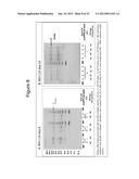 HUMAN RESPIRATORY SYNCYTIAL VIRUS VACCINE diagram and image