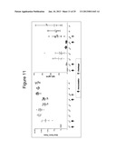 HUMAN RESPIRATORY SYNCYTIAL VIRUS VACCINE diagram and image