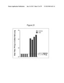 HUMAN RESPIRATORY SYNCYTIAL VIRUS VACCINE diagram and image