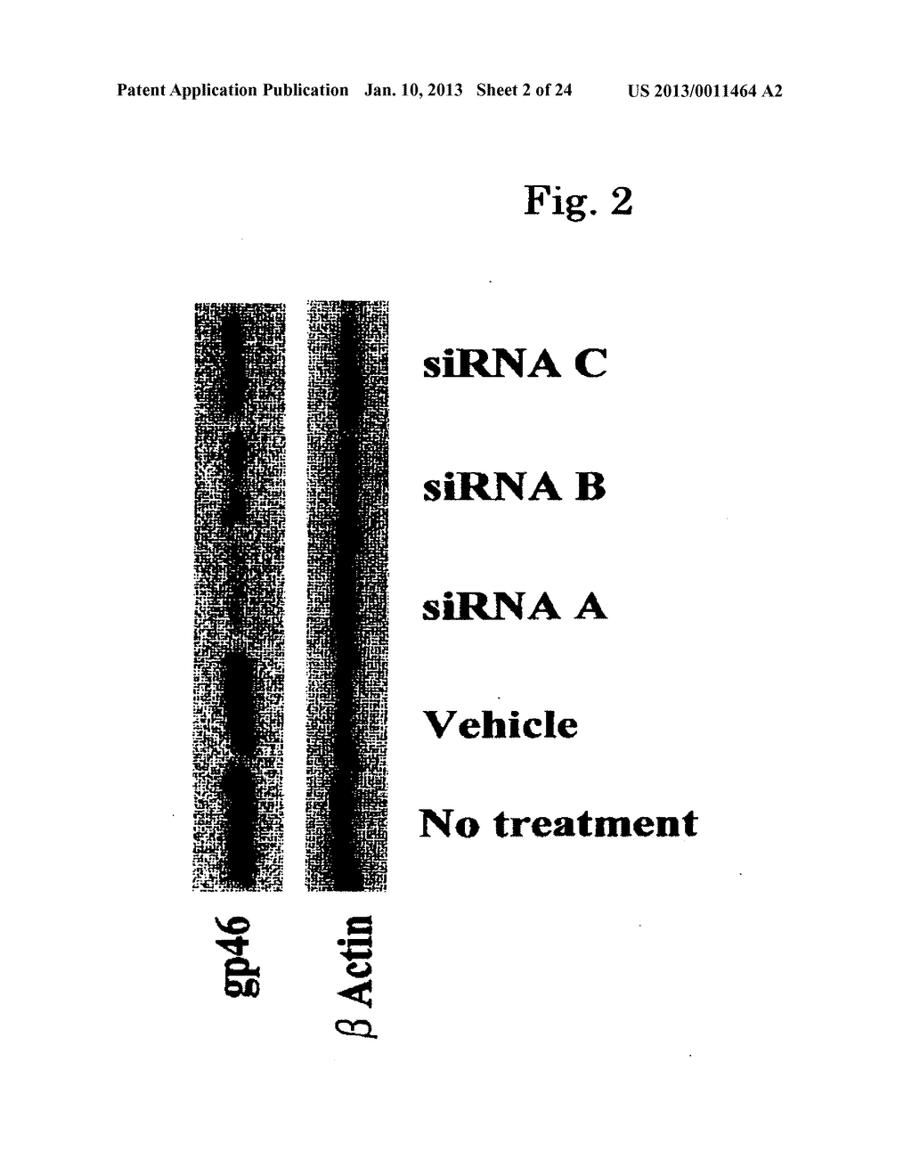 DRUG CARRIER AND DRUG CARRIER KIT FOR INHIBITING FIBROSIS - diagram, schematic, and image 03