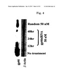 DRUG CARRIER AND DRUG CARRIER KIT FOR INHIBITING FIBROSIS diagram and image