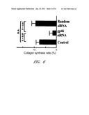 DRUG CARRIER AND DRUG CARRIER KIT FOR INHIBITING FIBROSIS diagram and image