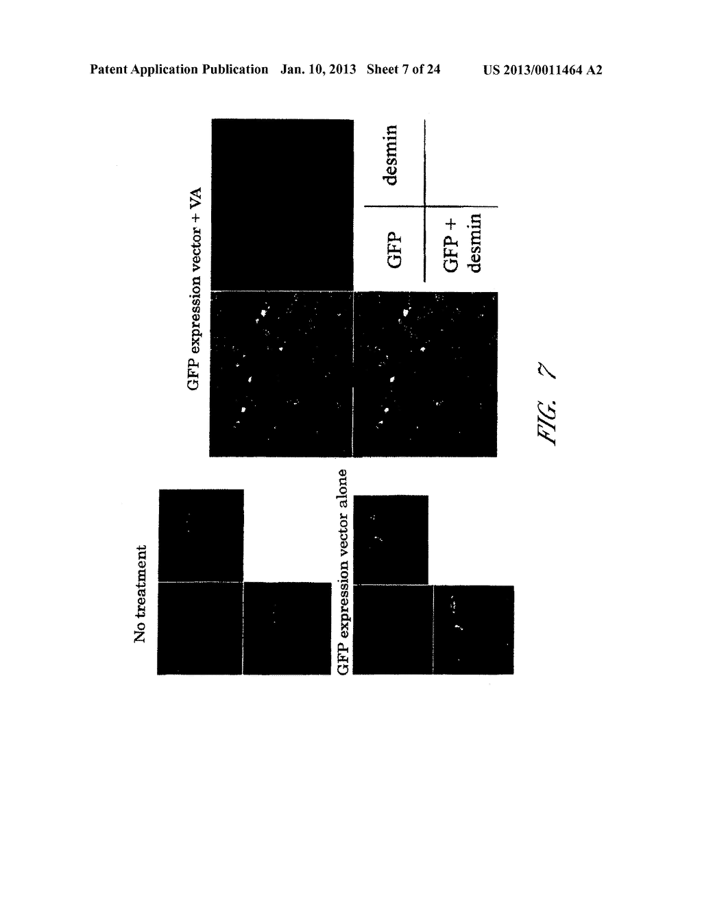 DRUG CARRIER AND DRUG CARRIER KIT FOR INHIBITING FIBROSIS - diagram, schematic, and image 08