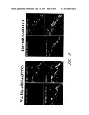 DRUG CARRIER AND DRUG CARRIER KIT FOR INHIBITING FIBROSIS diagram and image