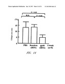 DRUG CARRIER AND DRUG CARRIER KIT FOR INHIBITING FIBROSIS diagram and image