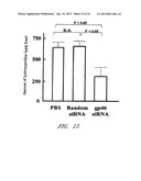 DRUG CARRIER AND DRUG CARRIER KIT FOR INHIBITING FIBROSIS diagram and image