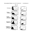 DRUG CARRIER AND DRUG CARRIER KIT FOR INHIBITING FIBROSIS diagram and image