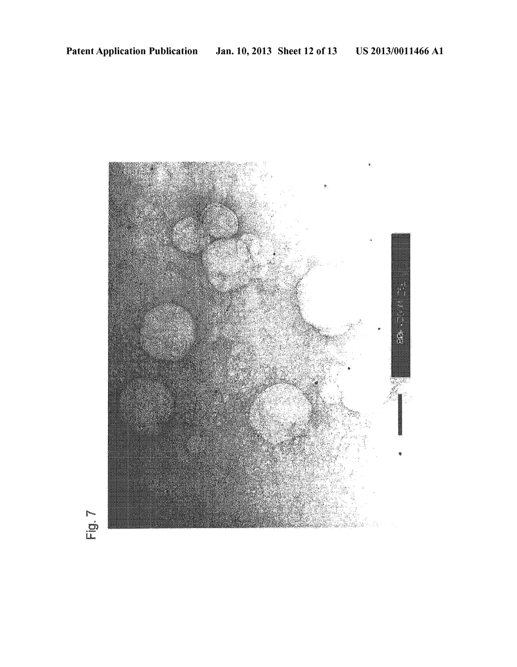 LIPOSOME ENCAPSULATING AMMINE-PLATINUM COMPLEX AT HIGH CONCENTRATION, AND     METHOD FOR PRODUCTION OF THE LIPOSOME - diagram, schematic, and image 13