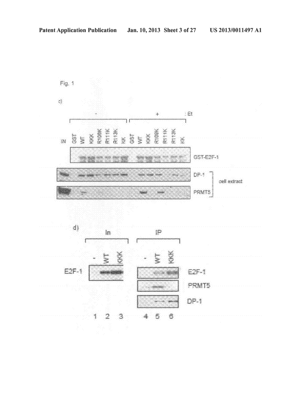 METHOD OF TREATMENT AND SCREENING METHOD - diagram, schematic, and image 04