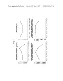 METHOD FOR MANUFACTURING HIGH-DENSITY FIBER REINFORCED CERAMIC COMPOSITE     MATERIALS diagram and image