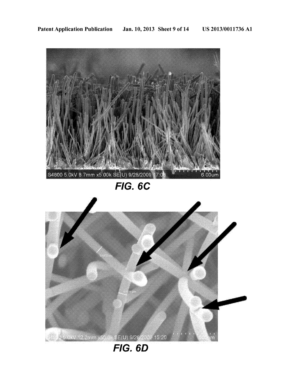 TEMPLATE ELECTRODE STRUCTURES WITH ENHANCED ADHESION CHARACTERISTICS - diagram, schematic, and image 10