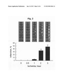 Novel Biomarker Indicative of Ischemic Brain Injury and Its Use diagram and image