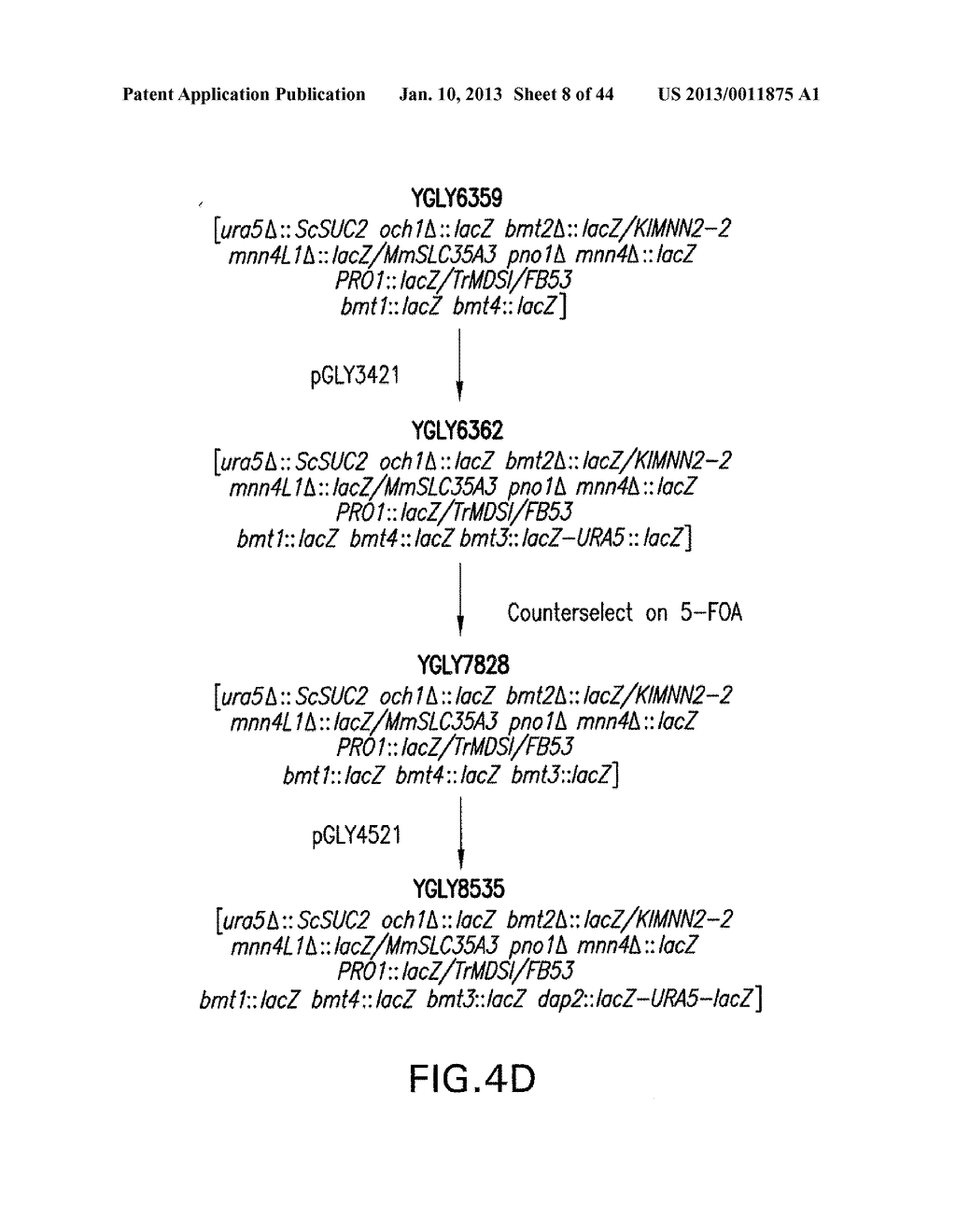 METHODS FOR THE PRODUCTION OF RECOMBINANT PROTEINS WITH IMPROVED SECRETION     EFFICIENCIES - diagram, schematic, and image 09