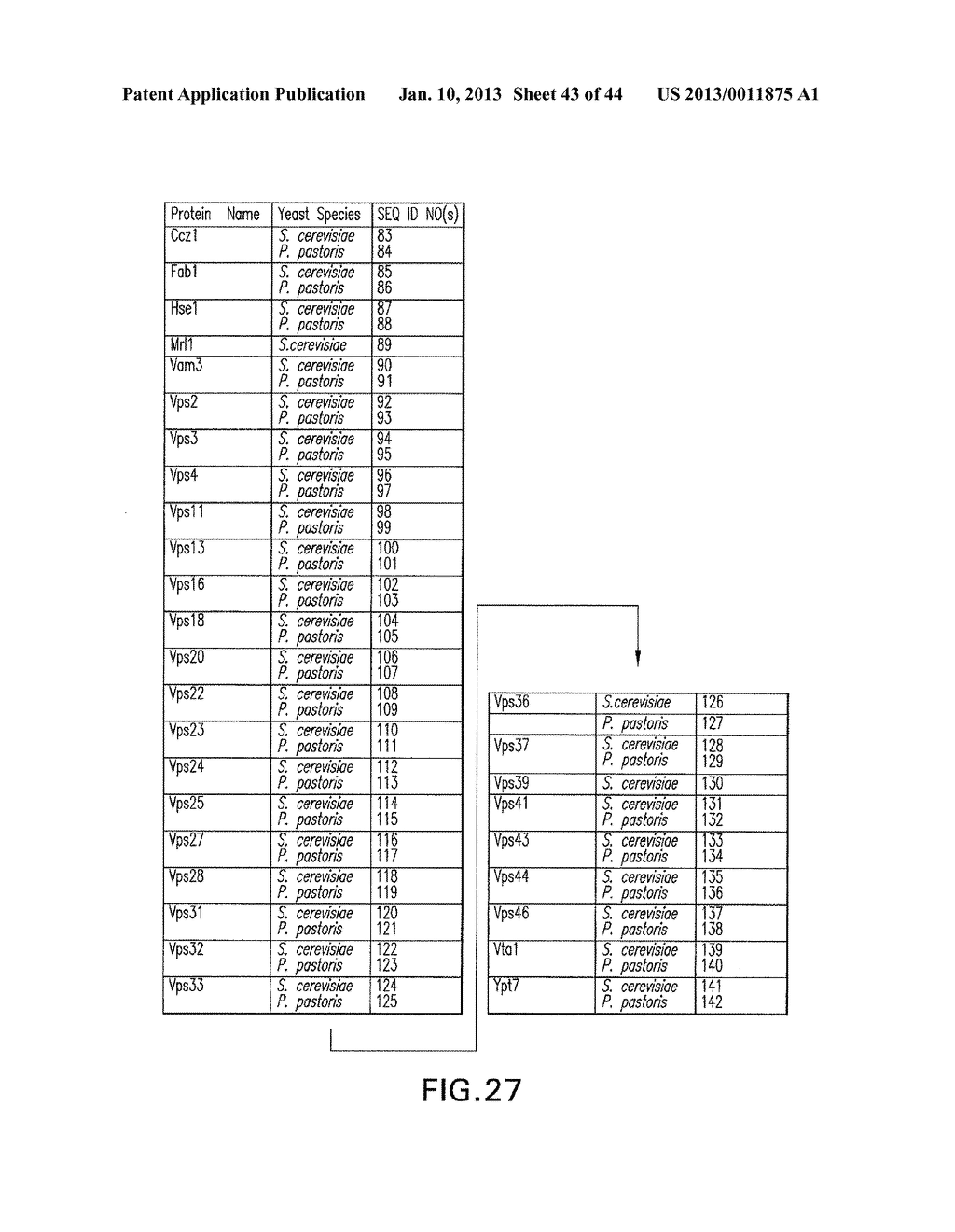 METHODS FOR THE PRODUCTION OF RECOMBINANT PROTEINS WITH IMPROVED SECRETION     EFFICIENCIES - diagram, schematic, and image 44