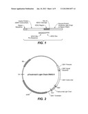 KEX2 CLEAVAGE REGIONS OF RECOMBINANT FUSION PROTEINS diagram and image