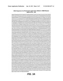 KEX2 CLEAVAGE REGIONS OF RECOMBINANT FUSION PROTEINS diagram and image