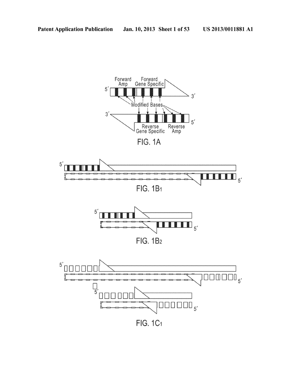 METHODS AND COMPOSITIONS FOR MULTIPLEX PCR - diagram, schematic, and image 02