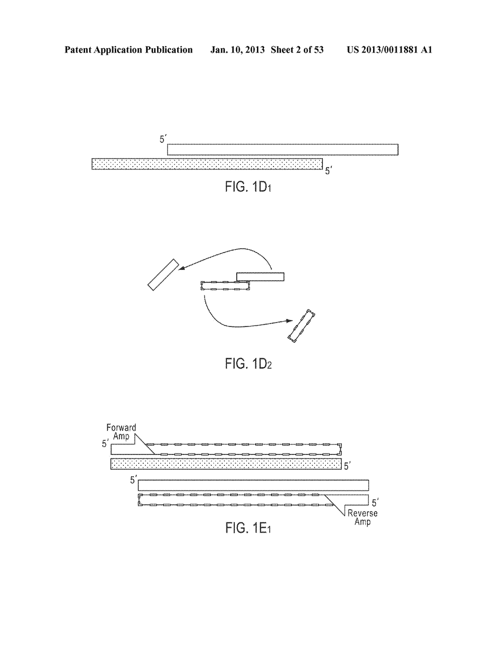 METHODS AND COMPOSITIONS FOR MULTIPLEX PCR - diagram, schematic, and image 03