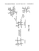 Processing Biomass diagram and image