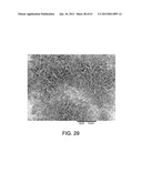 Processing Biomass diagram and image