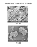 Processing Biomass diagram and image