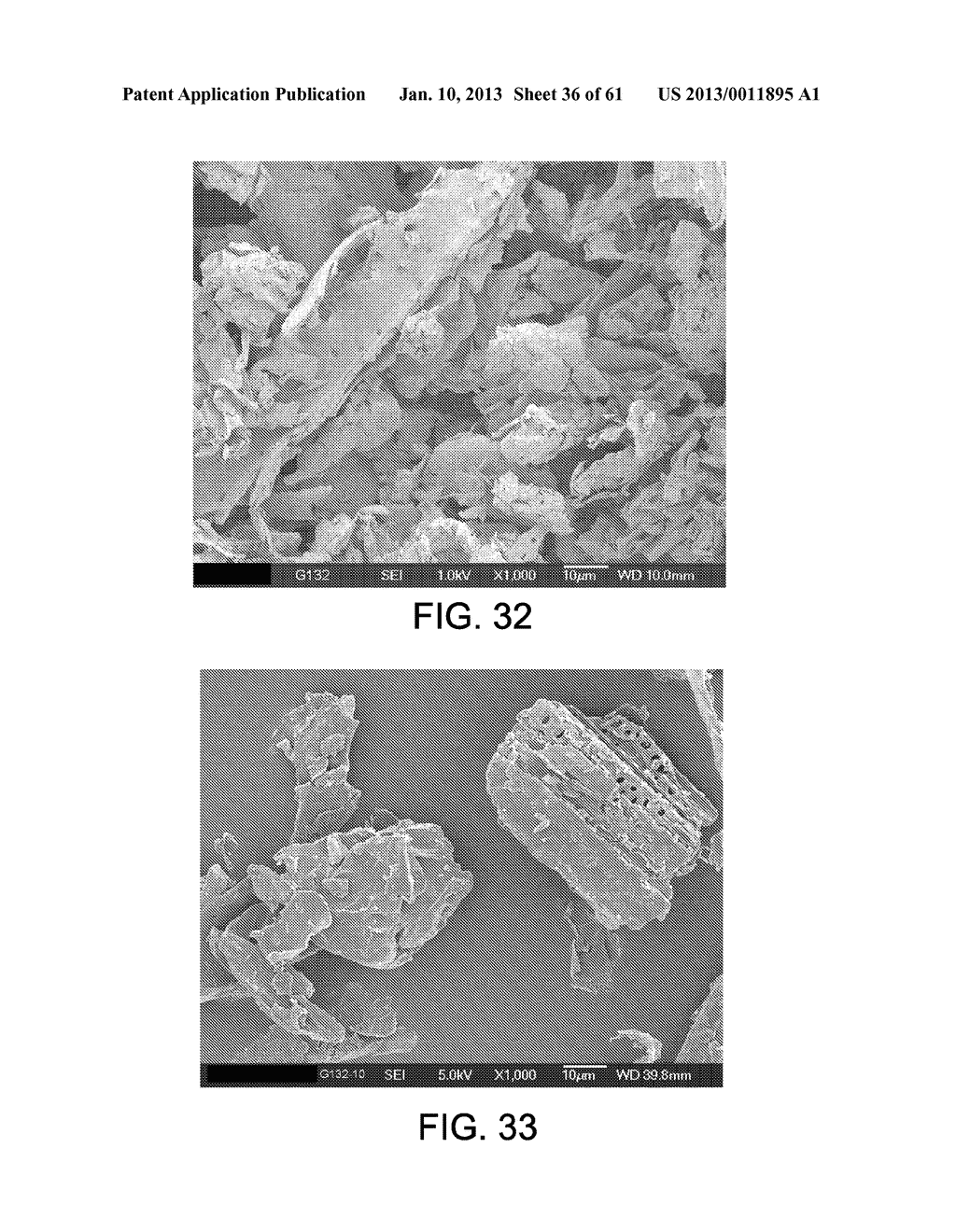 Processing Biomass - diagram, schematic, and image 37