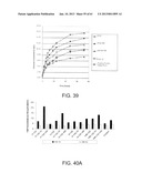 Processing Biomass diagram and image