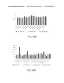 Processing Biomass diagram and image