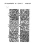 CYCLIC COMPOUND, METHOD FOR PRODUCING CYCLIC COMPOUND, AND METHOD FOR     MODIFYING BIOLOGICAL MOLECULE diagram and image