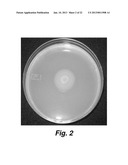 Culturing Medium diagram and image