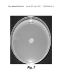 Culturing Medium diagram and image