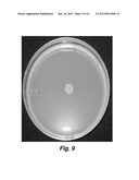 Culturing Medium diagram and image