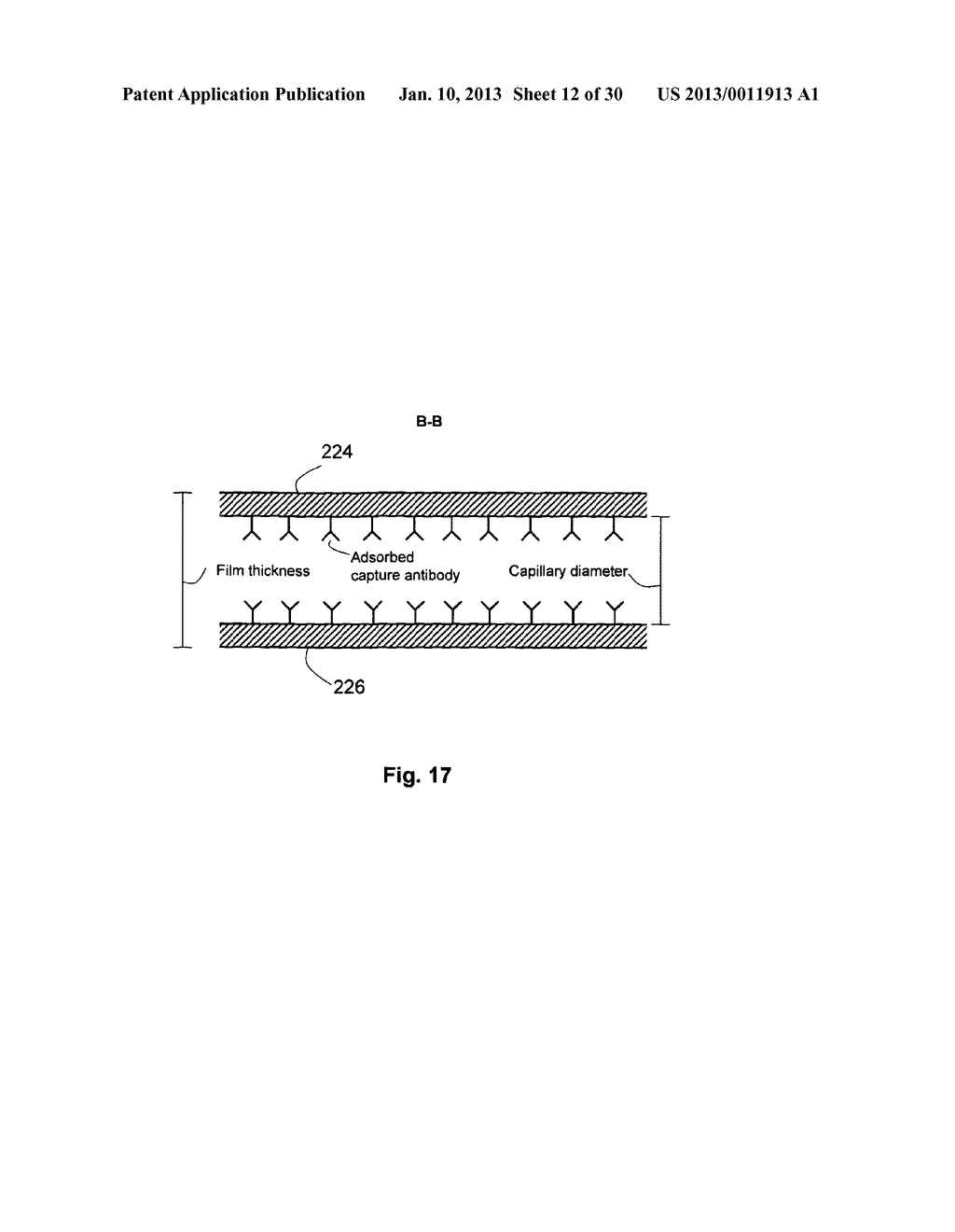 IMMUNOASSAYS, METHODS FOR CARRYING OUT IMMUNOASSAYS, IMMUNOASSAY KITS AND     METHOD FOR MANUFACTURING IMMUNOASSAY KITS - diagram, schematic, and image 13