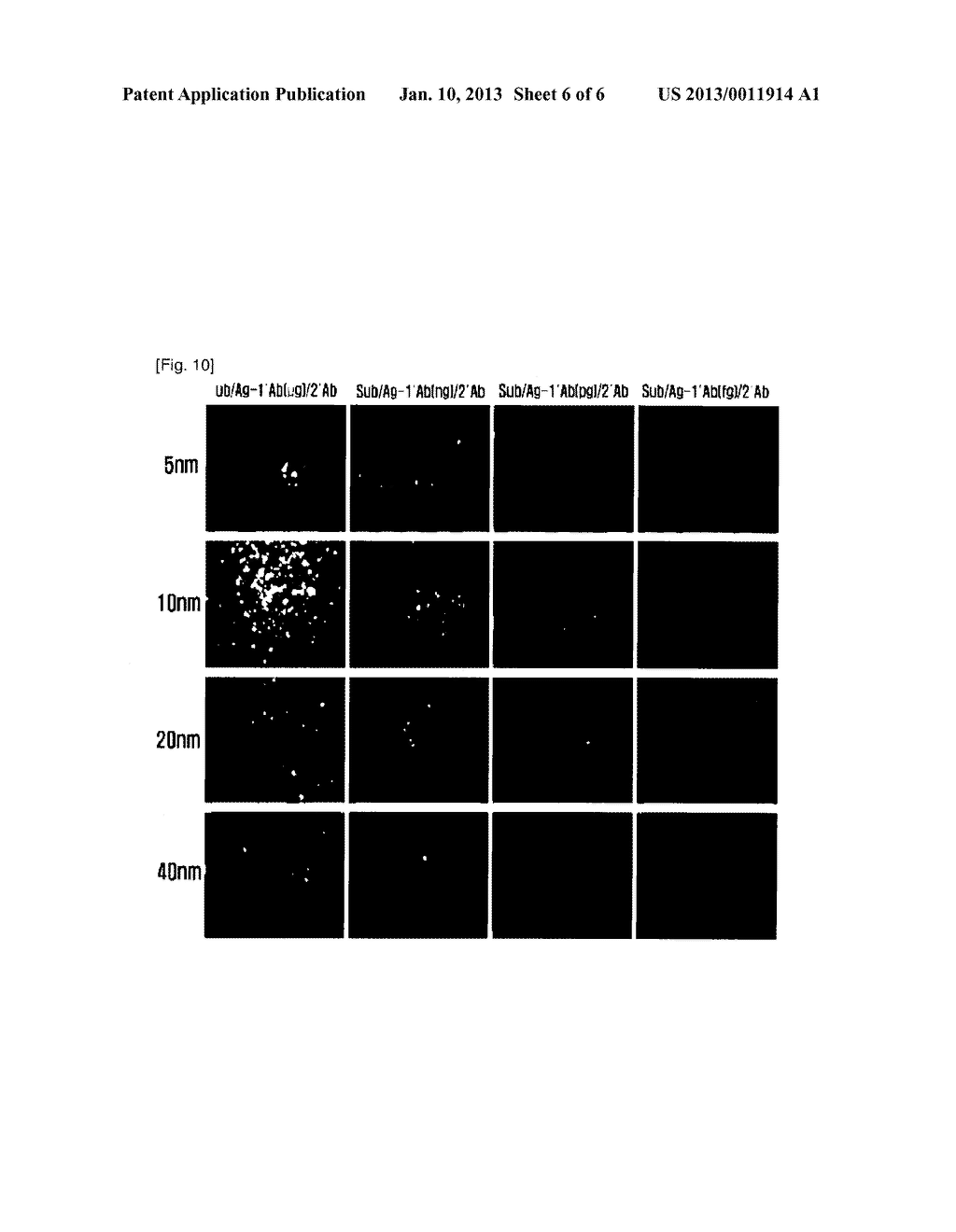 BIOCHIP - diagram, schematic, and image 07