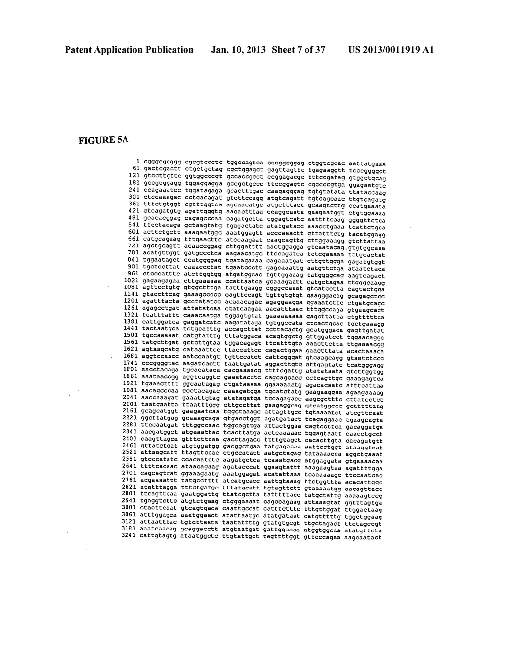 Mammalian alpha-kinase proteins, nucleic acids and diagnostic and     therapeutic uses thereof - diagram, schematic, and image 08