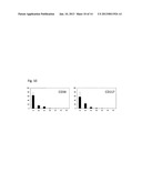 METHOD FOR INDUCING DIFFERENTIATION OF PLURIPOTENT STEM CELLS INTO     MESODERMAL CELLS diagram and image