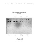 DETECTION OF IMMOBILIZED NUCLEIC ACID diagram and image