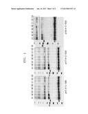 POLYMER INCLUDING GROUP HAVING AT LEAST TWO HYDROXYLS OR ZWITTERIONIC     GROUP AND USE THEREOF diagram and image