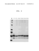 POLYMER INCLUDING GROUP HAVING AT LEAST TWO HYDROXYLS OR ZWITTERIONIC     GROUP AND USE THEREOF diagram and image