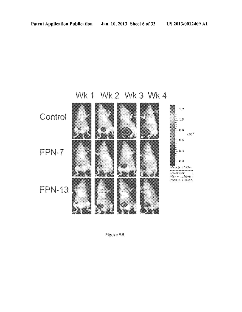 Diagnostic and Prognostic Markers for Cancer - diagram, schematic, and image 07