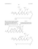 Peptides for Treatment of Obesity diagram and image