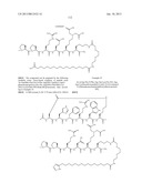 Peptides for Treatment of Obesity diagram and image