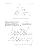 Peptides for Treatment of Obesity diagram and image