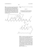 Peptides for Treatment of Obesity diagram and image