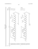 Peptides for Treatment of Obesity diagram and image