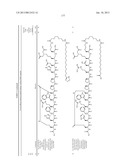 Peptides for Treatment of Obesity diagram and image