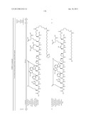 Peptides for Treatment of Obesity diagram and image