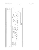 Peptides for Treatment of Obesity diagram and image