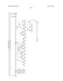 Peptides for Treatment of Obesity diagram and image