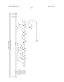 Peptides for Treatment of Obesity diagram and image